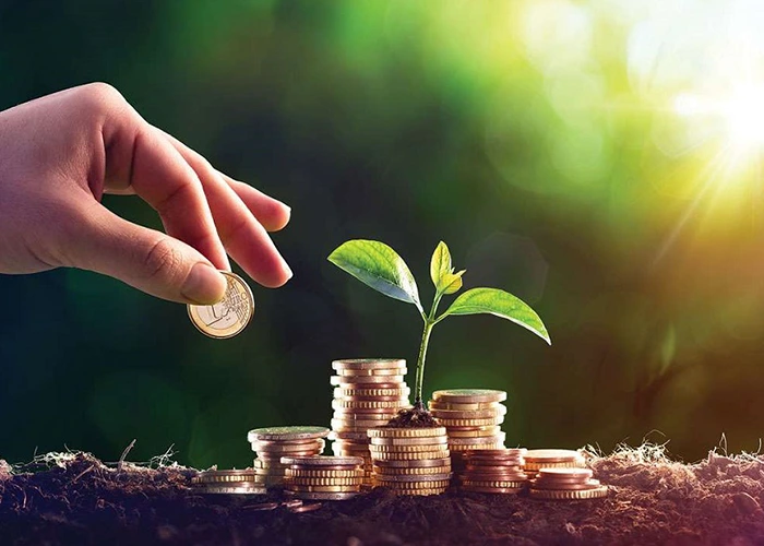 بررسی فرصتهای سرمایهگذاری با بازده بالا در ایران