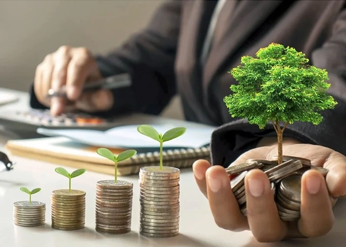 بررسی فرصتهای سرمایهگذاری با بازده بالا در ایران